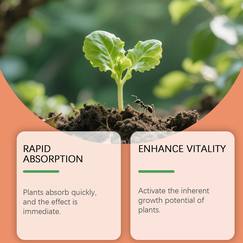 Liquid Rooting Hormone