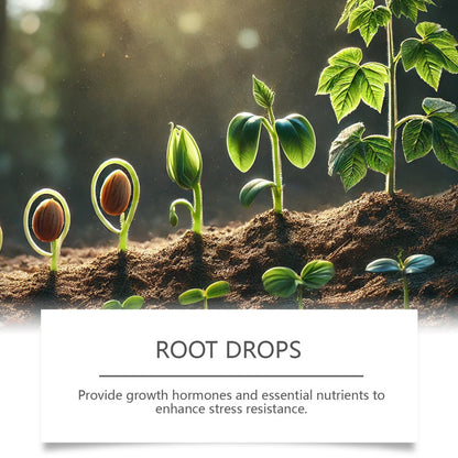 Liquid Rooting Hormone